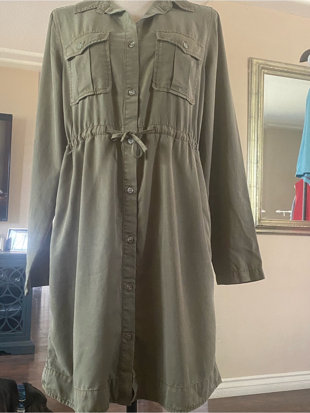 Velvet Heart Olive Green Long Sleeve Shirt Dress